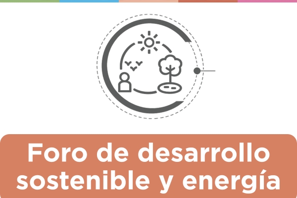 FDSE