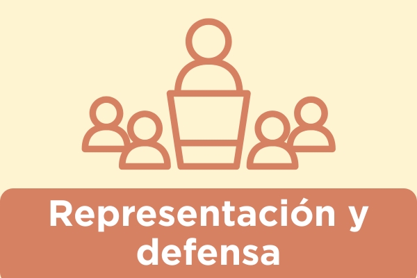 REPRESENTACION