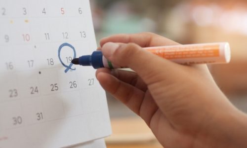 fotos_boletín institucional (6)